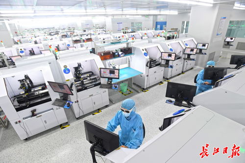 武漢市人民政府門戶網(wǎng)站